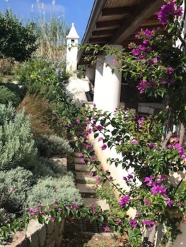 Immagine di Giardini e Terrazze e balconi 