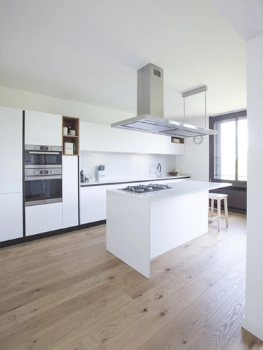 Single-Family Homes, New Build, Renovation