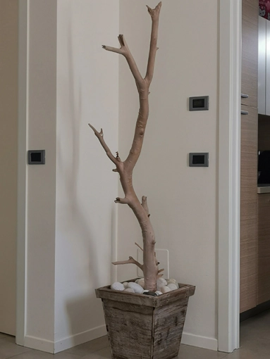 Interior Architecture & Design, Flats / Apartments